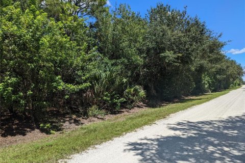 Land in Punta Gorda, Florida № 2224105 - photo 3