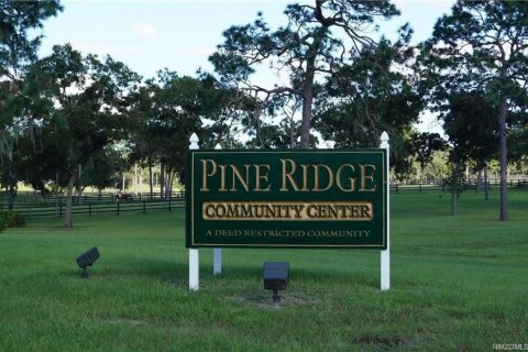 Land in Beverly Hills, Florida № 1858391 - photo 11