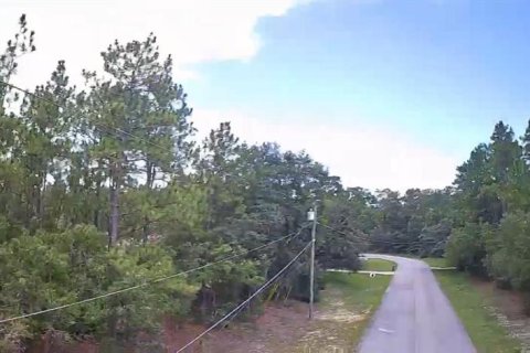 Land in Beverly Hills, Florida № 1858391 - photo 18