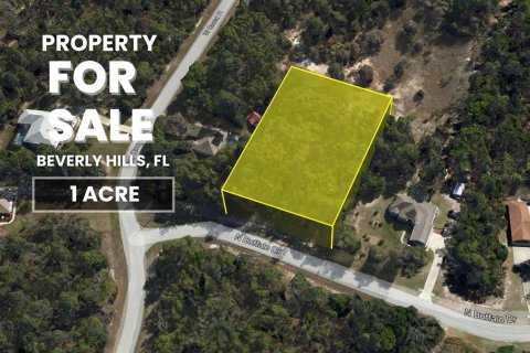Land in Beverly Hills, Florida № 1858391 - photo 1