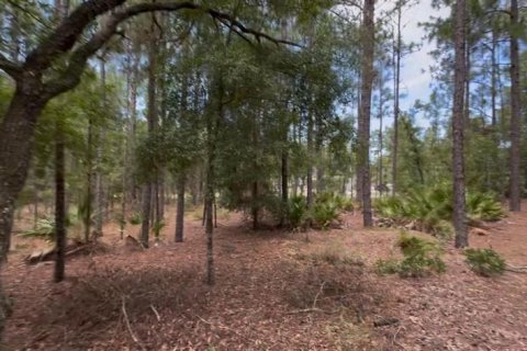 Land in Beverly Hills, Florida № 1858391 - photo 23