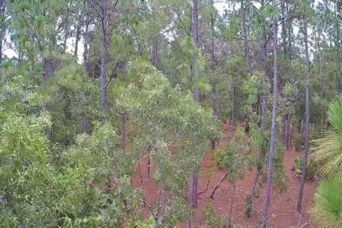 Land in Beverly Hills, Florida № 1858391 - photo 20
