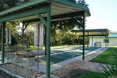 Land in Beverly Hills, Florida № 1858391 - photo 13