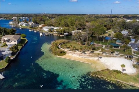 Land in Beverly Hills, Florida № 1858391 - photo 10