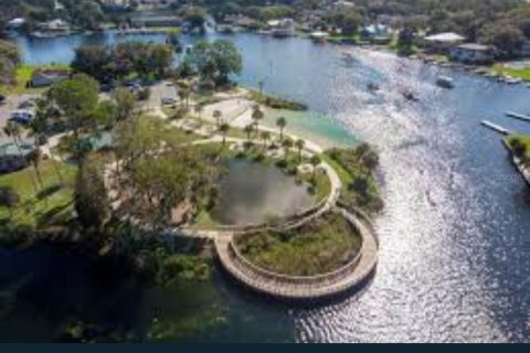 Land in Beverly Hills, Florida № 1858391 - photo 24