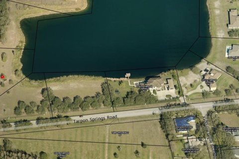 Terreno en venta en Odessa, Florida № 1777976 - foto 1