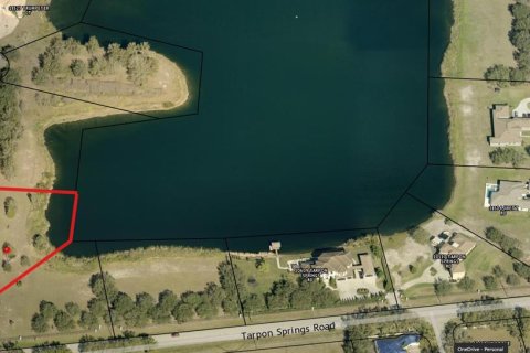 Terreno en venta en Odessa, Florida № 1777976 - foto 4