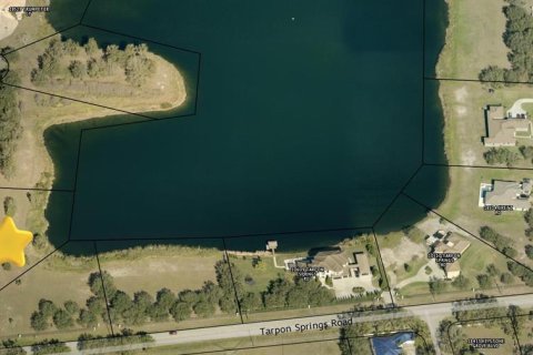 Terreno en venta en Odessa, Florida № 1777976 - foto 8