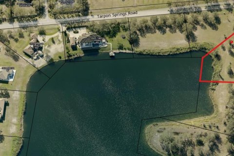 Terreno en venta en Odessa, Florida № 1777976 - foto 9