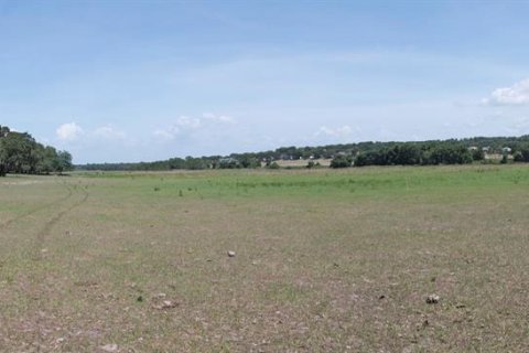 Terrain à vendre à Clermont, Floride № 2437144 - photo 21