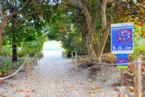 Copropriété à louer à Miami Beach, Floride: 1 chambre, 86.4 m2 № 2018019 - photo 27