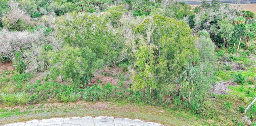 Land in LaBelle, Florida № 2160007