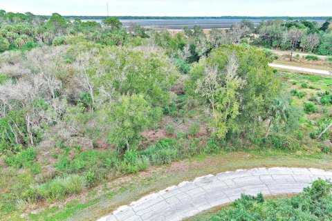 Land in LaBelle, Florida № 2160007 - photo 3