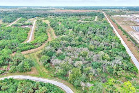 Land in LaBelle, Florida № 2160007 - photo 11