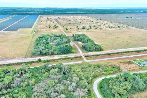Land in LaBelle, Florida № 2160007 - photo 18