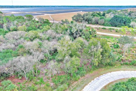 Land in LaBelle, Florida № 2160007 - photo 5