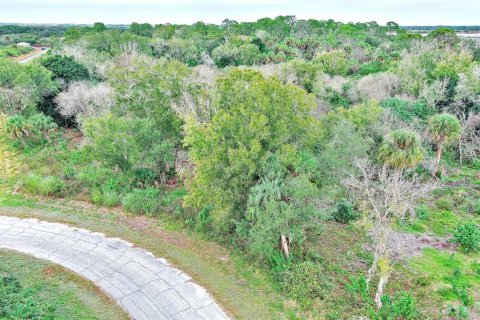 Land in LaBelle, Florida № 2160007 - photo 4