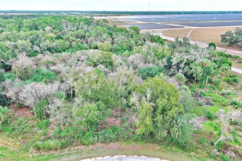Land in LaBelle, Florida № 2160007 - photo 8