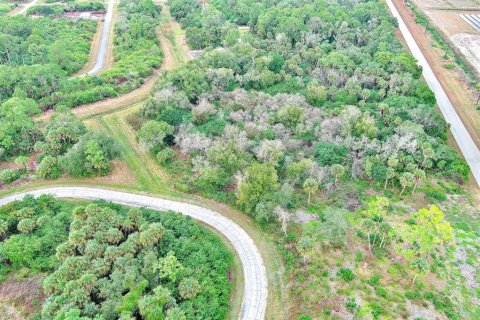 Land in LaBelle, Florida № 2160007 - photo 12