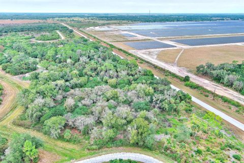 Land in LaBelle, Florida № 2160007 - photo 14