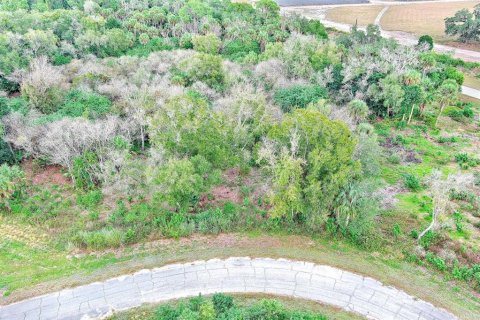 Land in LaBelle, Florida № 2160007 - photo 7
