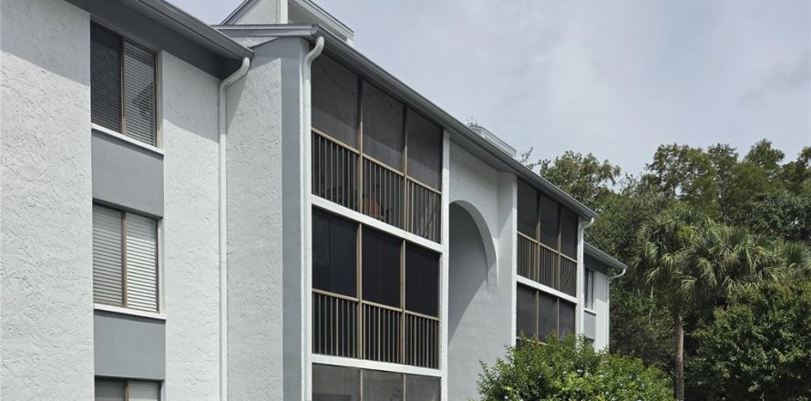 Condo à Tarpon Springs, Floride, 2 chambres № 2389099