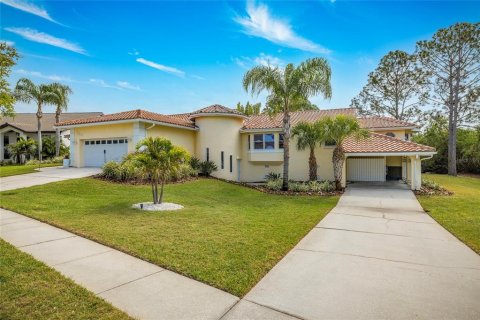 House in Tarpon Springs, Florida 3 bedrooms, 282.52 sq.m. № 1519443 - photo 1