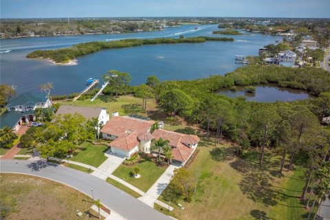 House in Tarpon Springs, Florida 3 bedrooms, 282.52 sq.m. № 1519443 - photo 2