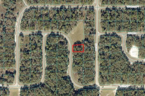 Land in Ocala, Florida № 1568348 - photo 1