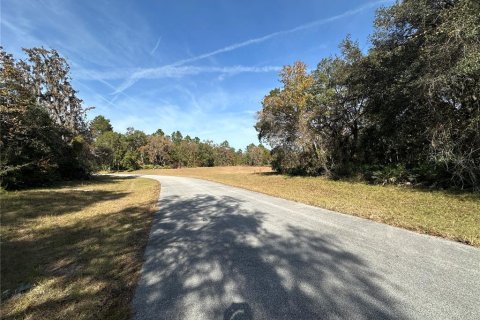 Land in Ocala, Florida № 1568348 - photo 2