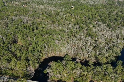 Land in Sopchoppy, Florida № 2148210 - photo 4