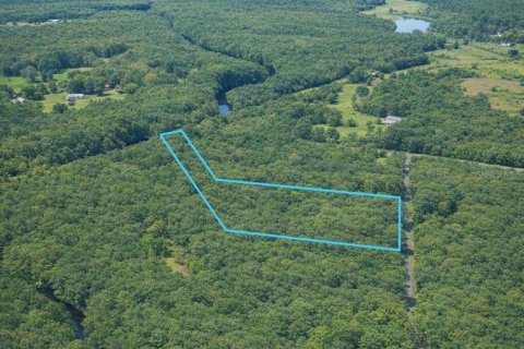 Land in Sopchoppy, Florida № 2148210 - photo 8