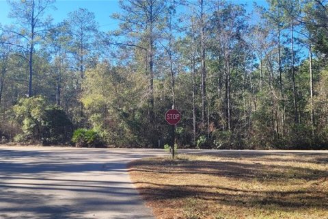 Land in Sopchoppy, Florida № 2148210 - photo 16