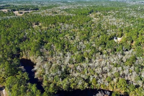 Land in Sopchoppy, Florida № 2148210 - photo 20