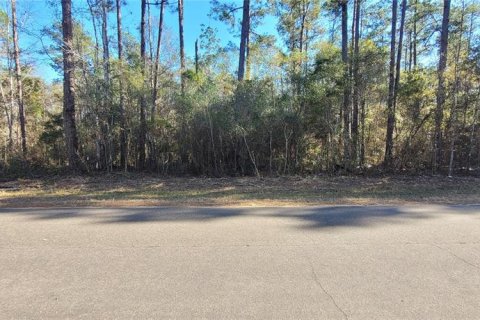 Land in Sopchoppy, Florida № 2148210 - photo 15