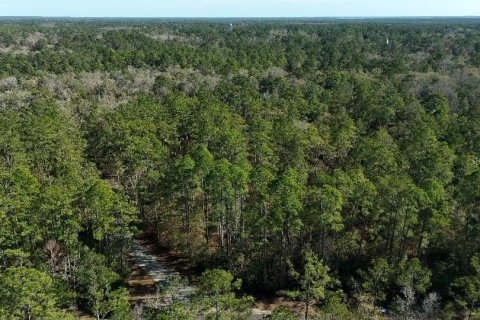 Land in Sopchoppy, Florida № 2148210 - photo 12