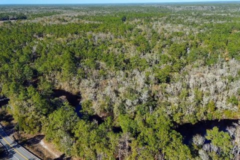 Land in Sopchoppy, Florida № 2148210 - photo 11