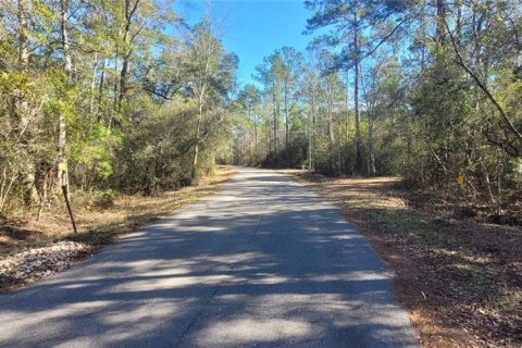 Land in Sopchoppy, Florida № 2148210 - photo 18