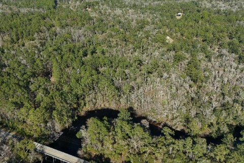 Land in Sopchoppy, Florida № 2148210 - photo 7