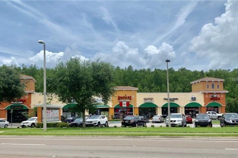 Immobilier commercial à Orlando, Floride 1086.96 m2 № 2125250