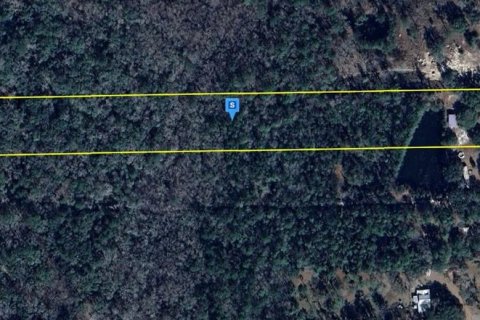 Land in Hilliard, Florida № 1613549 - photo 1