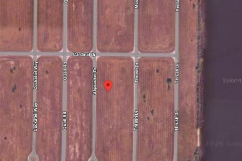 Land in Placida, Florida № 2165664 - photo 2