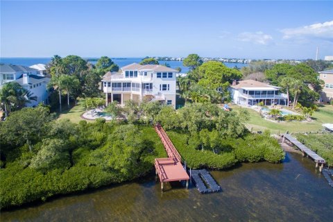 Casa en alquiler en Tarpon Springs, Florida, 5 dormitorios, 380.16 m2 № 1640274 - foto 2