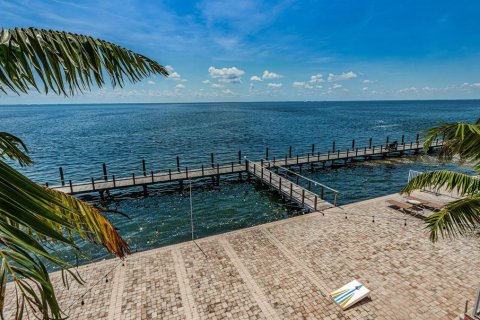 Condo in Saint Petersburg, Florida, 1 bedroom  № 2235450 - photo 25