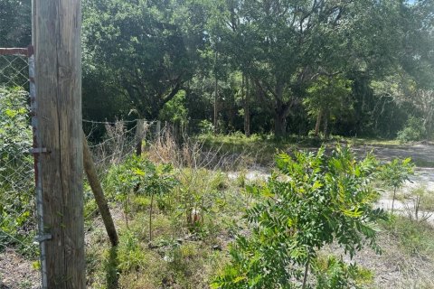Land in Okeechobee, Florida № 2165121 - photo 4