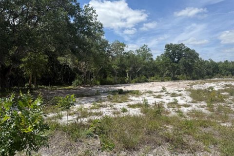 Land in Okeechobee, Florida № 2165121 - photo 6