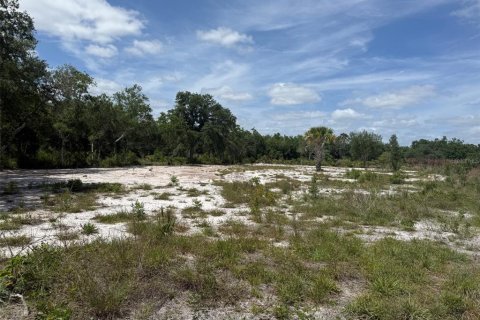 Land in Okeechobee, Florida № 2165121 - photo 2