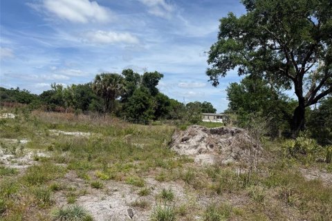 Land in Okeechobee, Florida № 2165121 - photo 3