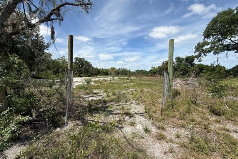 Land in Okeechobee, Florida № 2165121 - photo 5