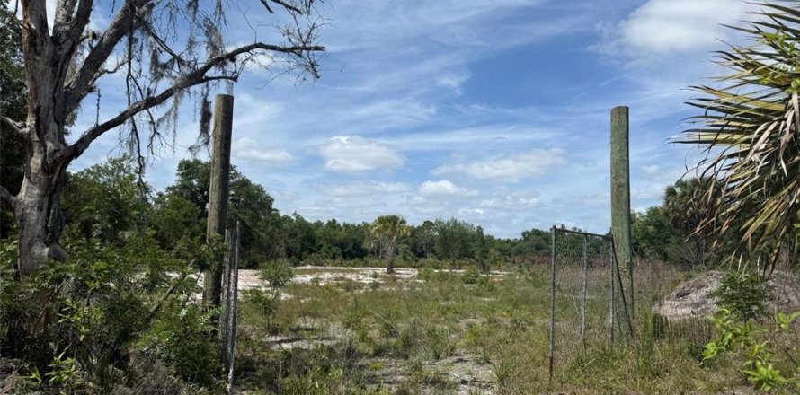 Land in Okeechobee, Florida № 2165121